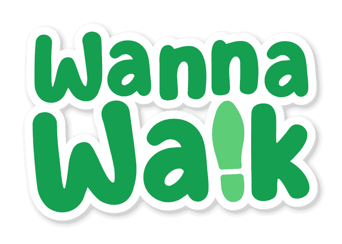 Free walking tour budapest wannawalk